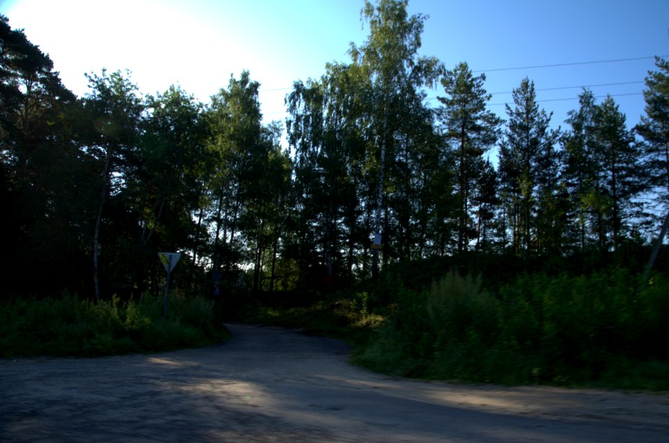 0010_1st_of_August_2016_in_Moscow_Oblast,_Russia