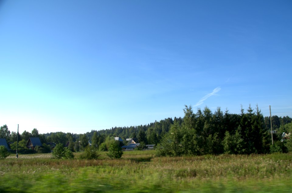 0007_1st_of_August_2016_in_Moscow_Oblast,_Russia
