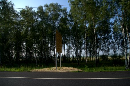 0010_29th_of_July_2016_in_Russia