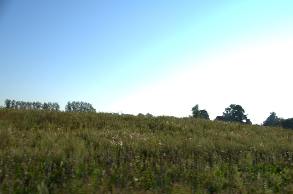 0020_1st_of_August_2016_in_Moscow_Oblast,_Russia