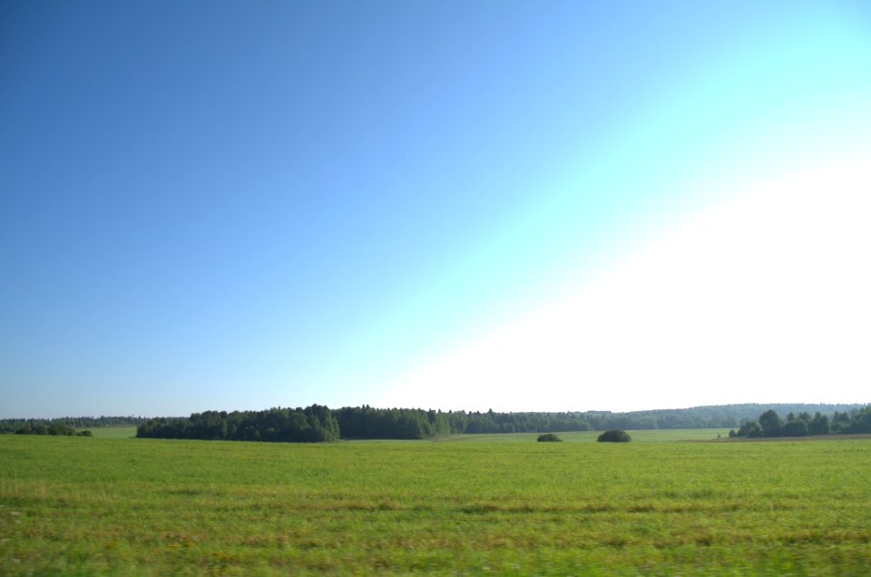 0022_1st_of_August_2016_in_Moscow_Oblast,_Russia