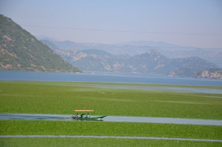 0013_July_2017_in_Montenegro