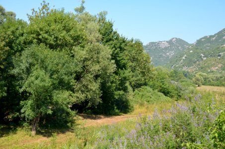 0018_July_2017_in_Montenegro