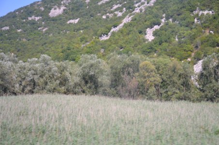 0015_July_2017_in_Montenegro