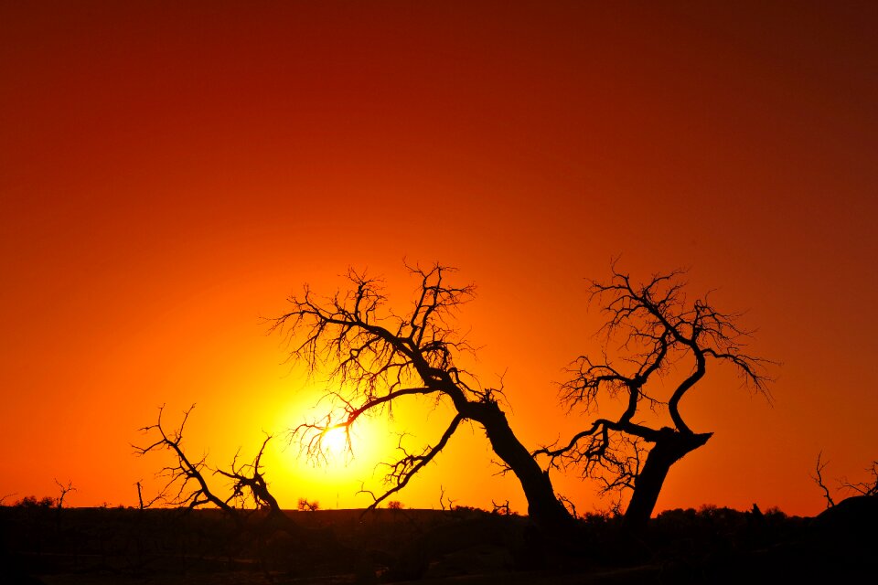 Sunset silhouette twilight photo