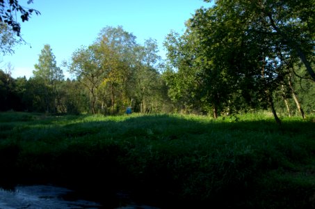 0042_1st_of_August_2016_in_Moscow_Oblast,_Russia