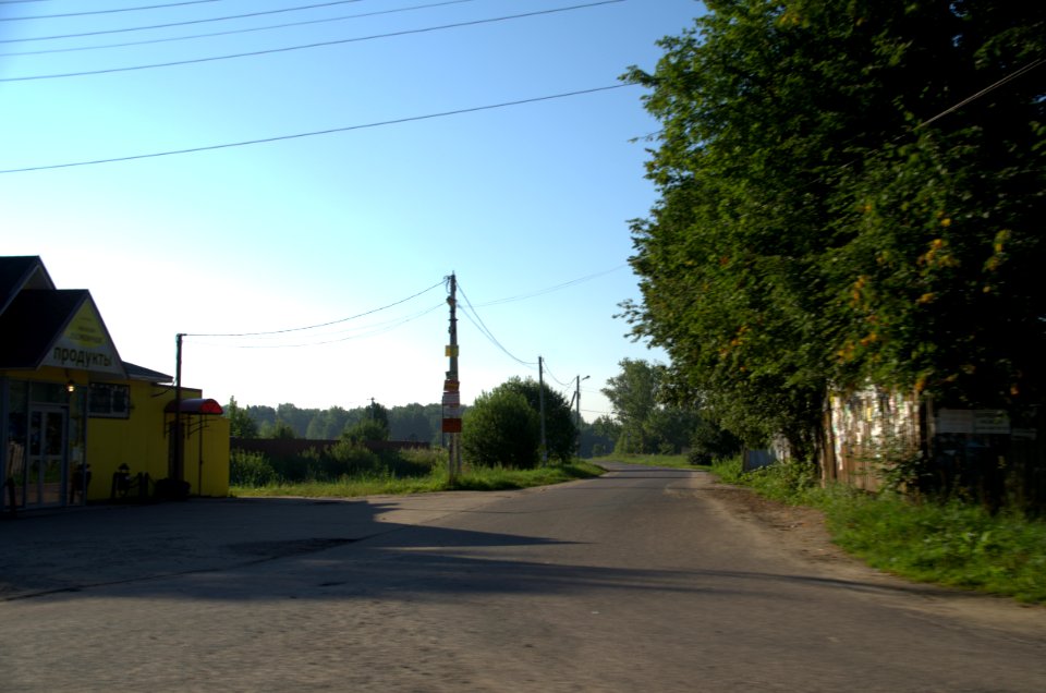 0015_1st_of_August_2016_in_Moscow_Oblast,_Russia