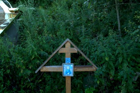 0045_1st_of_August_2016_in_Moscow_Oblast,_Russia