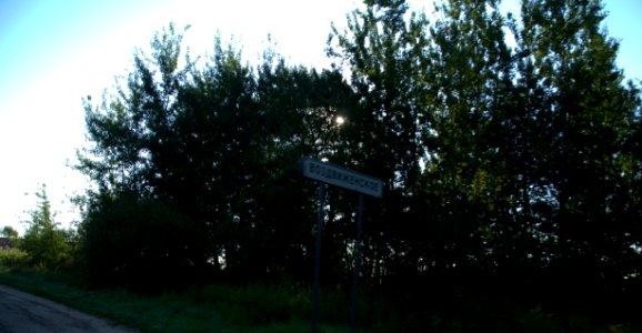 0012_1st_of_August_2016_in_Moscow_Oblast