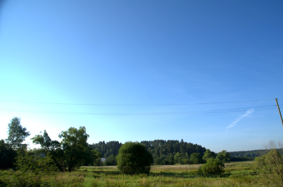 0004_1st_of_August_2016_in_Moscow_Oblast,_Russia