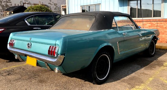 1965_Ford_Mustang_convertible,_rear_right,_4-25-2021