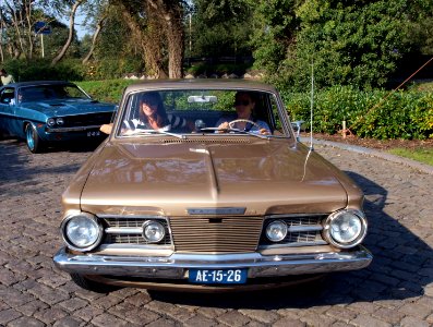 1964_Chrysler_Valiant_D_photo-6
