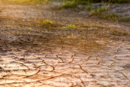 Dirt drought brown desert