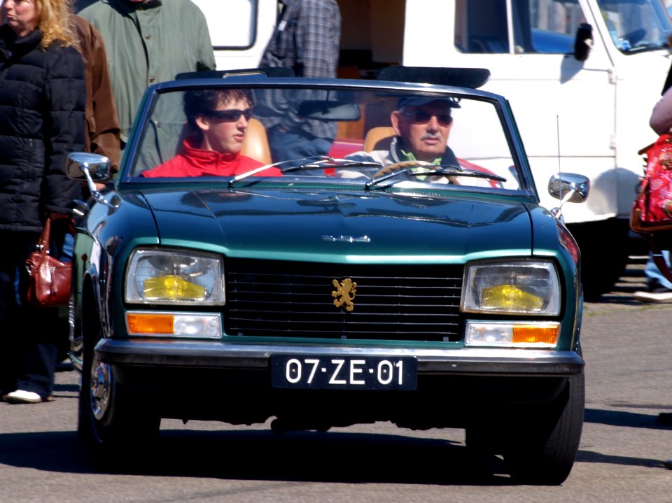 1973_Peugeot_304_pic1