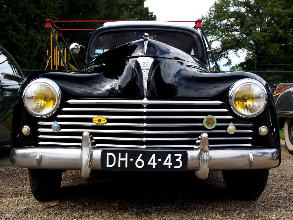 1952_PEUGEOT_203_A,_DH-64-43,_Horn,_the_Netherlands,_pic1