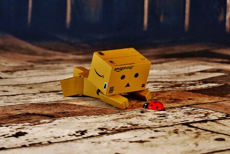Cute lucky ladybug danboard