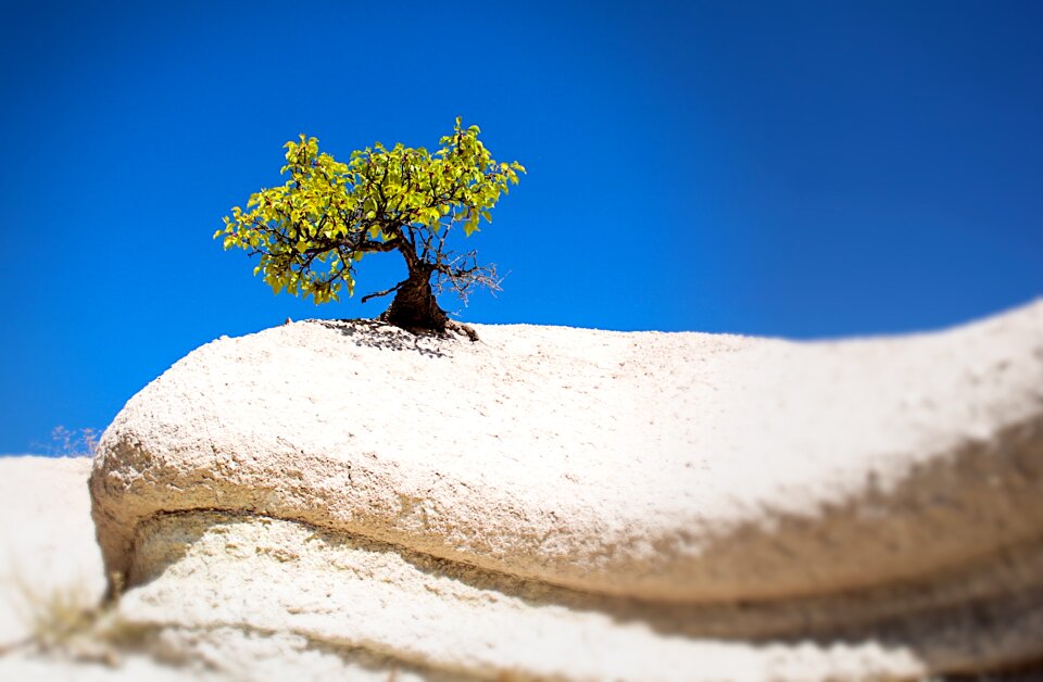 Meditation rest inspiration