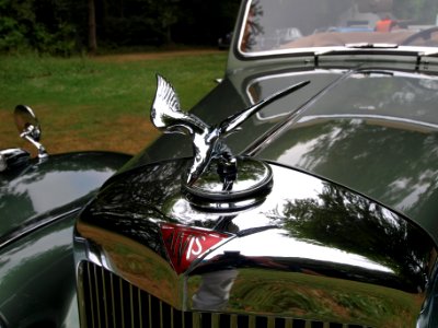 1953_Alvis_TA_21_DHC_pic-013