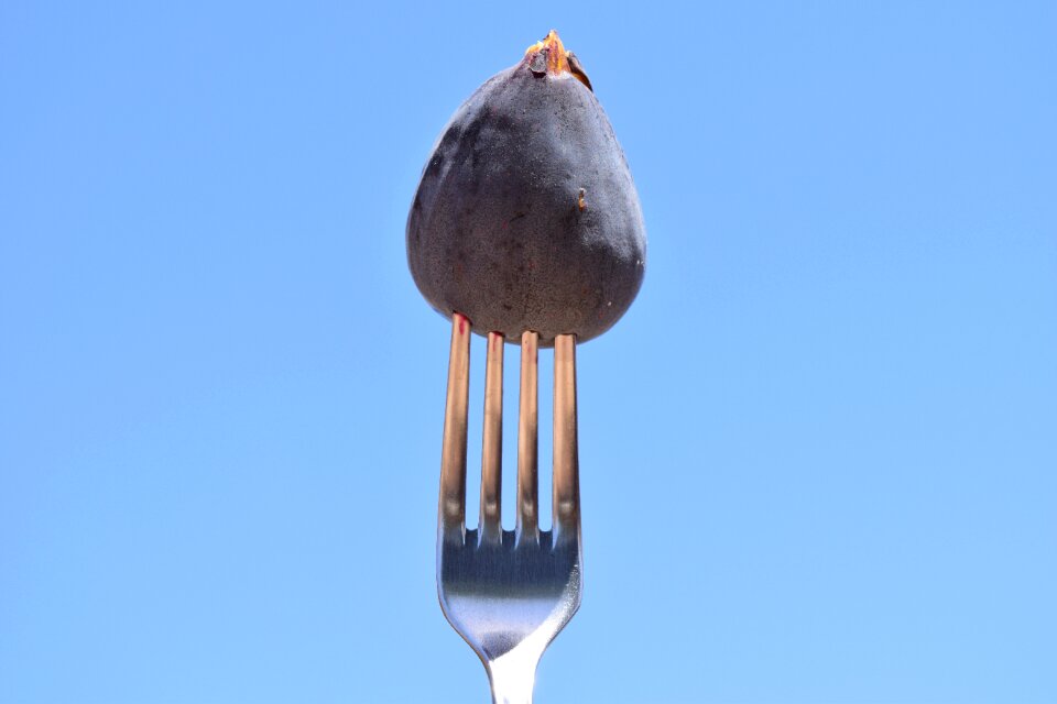Close up metal fork cutlery