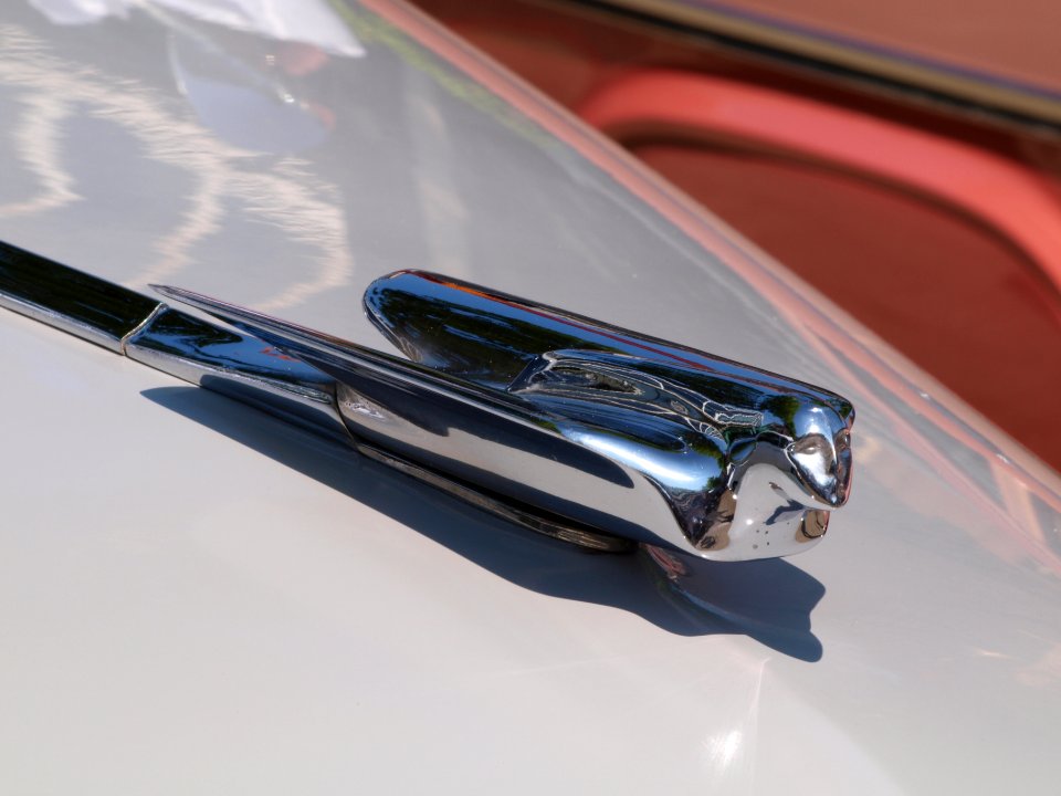 1947_Cadillac_Series_61_at_the_SPECIAAL_Auto_Evenement_Nijkerk_2011,_pic4