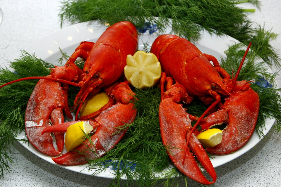 Limfjord lobster dill seafood