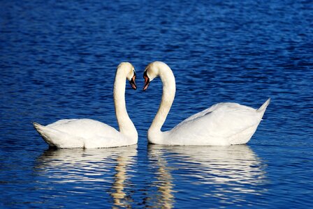 Background images water lake