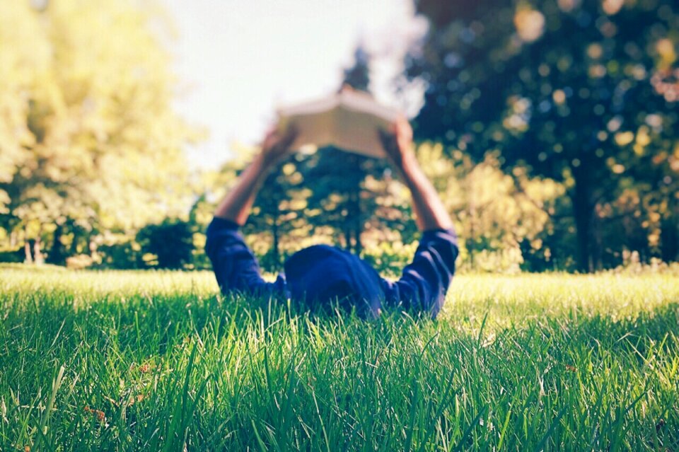 Grass summer book