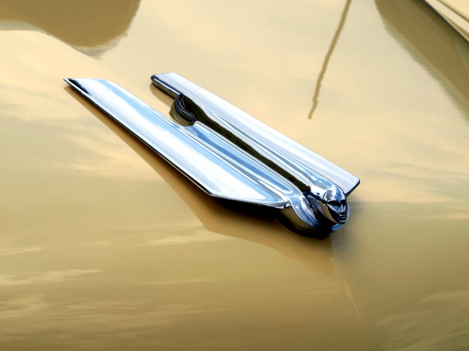 1955_Cadillac_Fleetwood,_Dutch_licence_registration_AE-78-40_p3