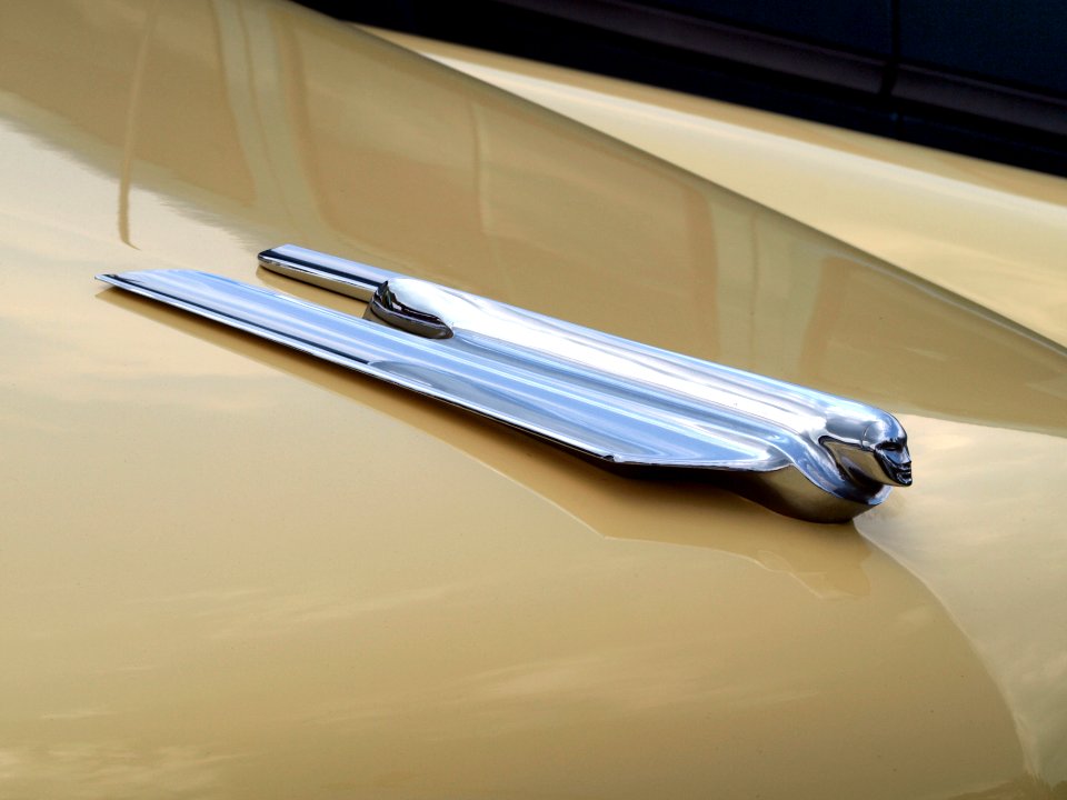 1955_Cadillac_Fleetwood,_Dutch_licence_registration_AE-78-40_p2