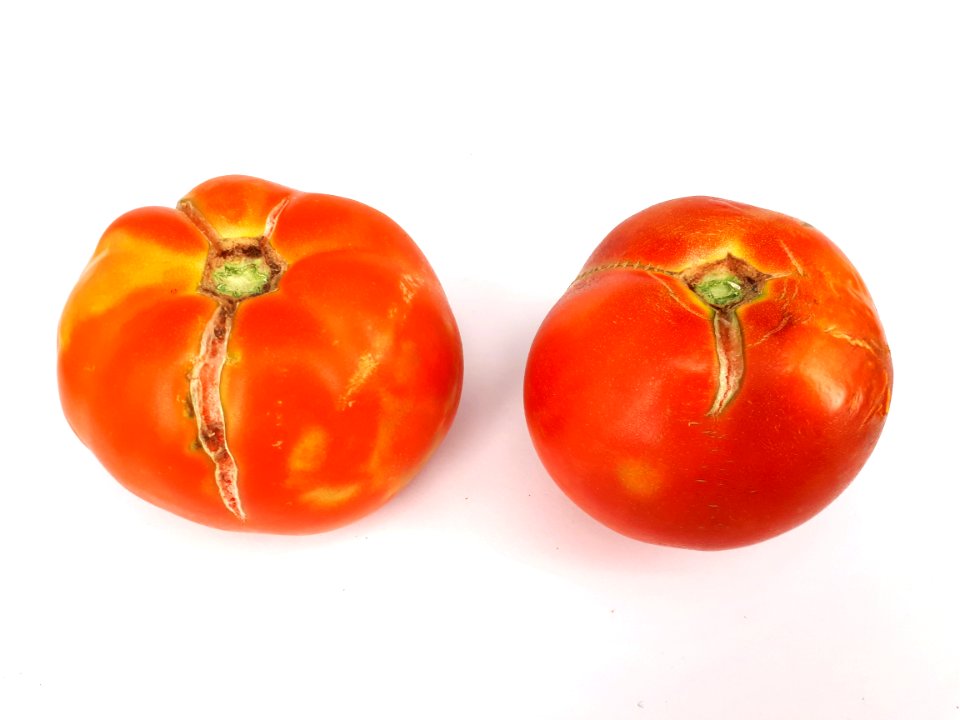 2_x_Cracked_tomato_2017_B