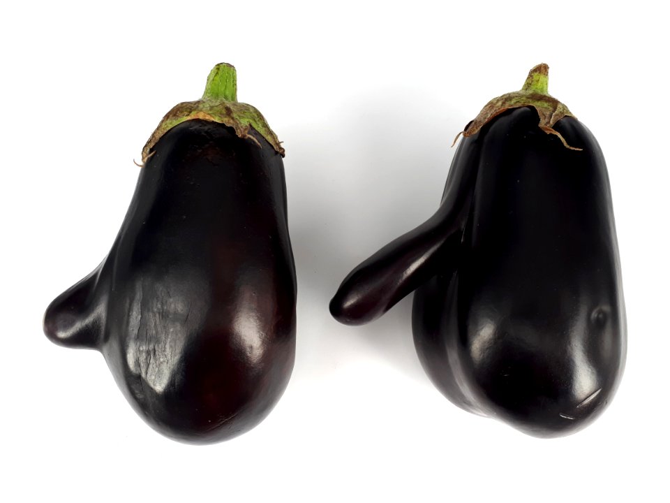 2_x_Mutant_eggplant_2017_A