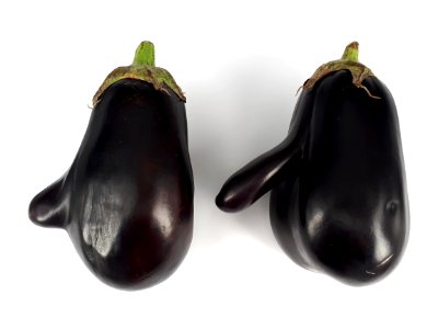 2_x_Mutant_eggplant_2017_A
