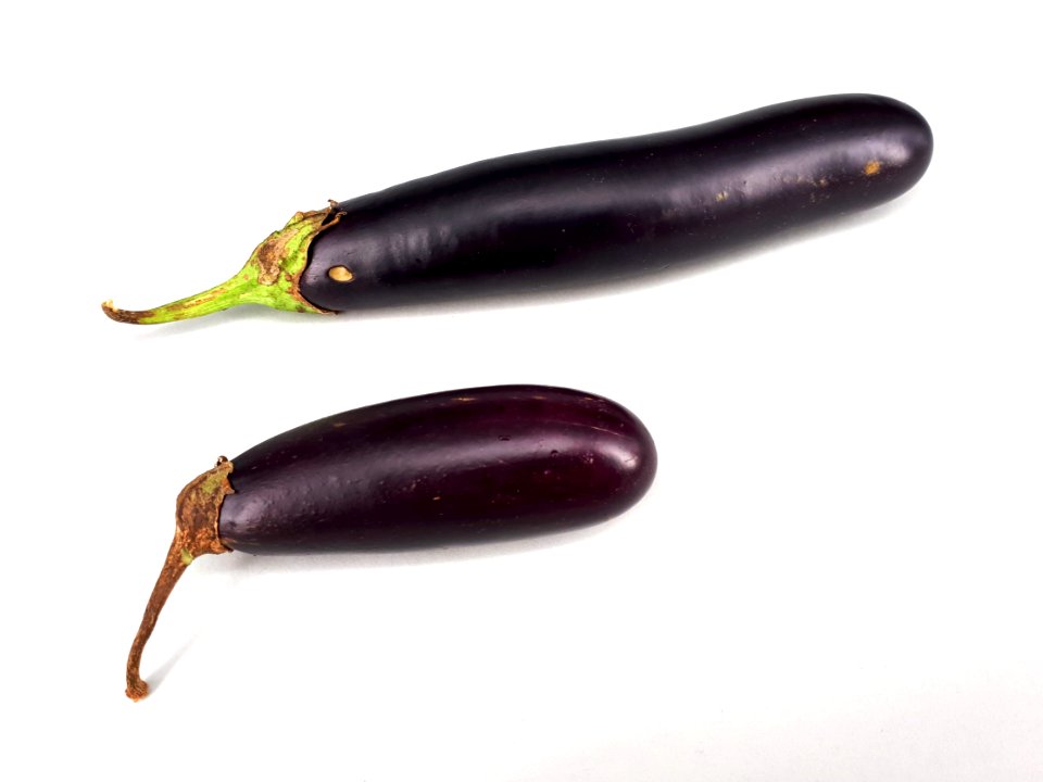 2_x_Orient_Express_eggplant_2017_A