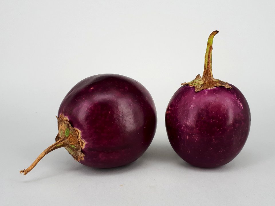 2_x_Ratna_eggplant_2017_A2