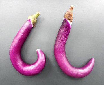2_x_Hook-shaped_Orient_Charm_eggplant_2017