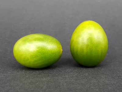2_x_Cherry_Dulcemiel_tomato_2017_A4