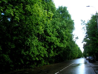 2_nd_Pehotnyj_lane_1