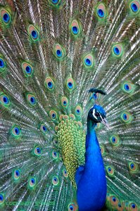 Blue zoo rheydt closed