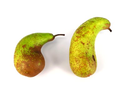2_x_Curved_conference_pear_2017_A
