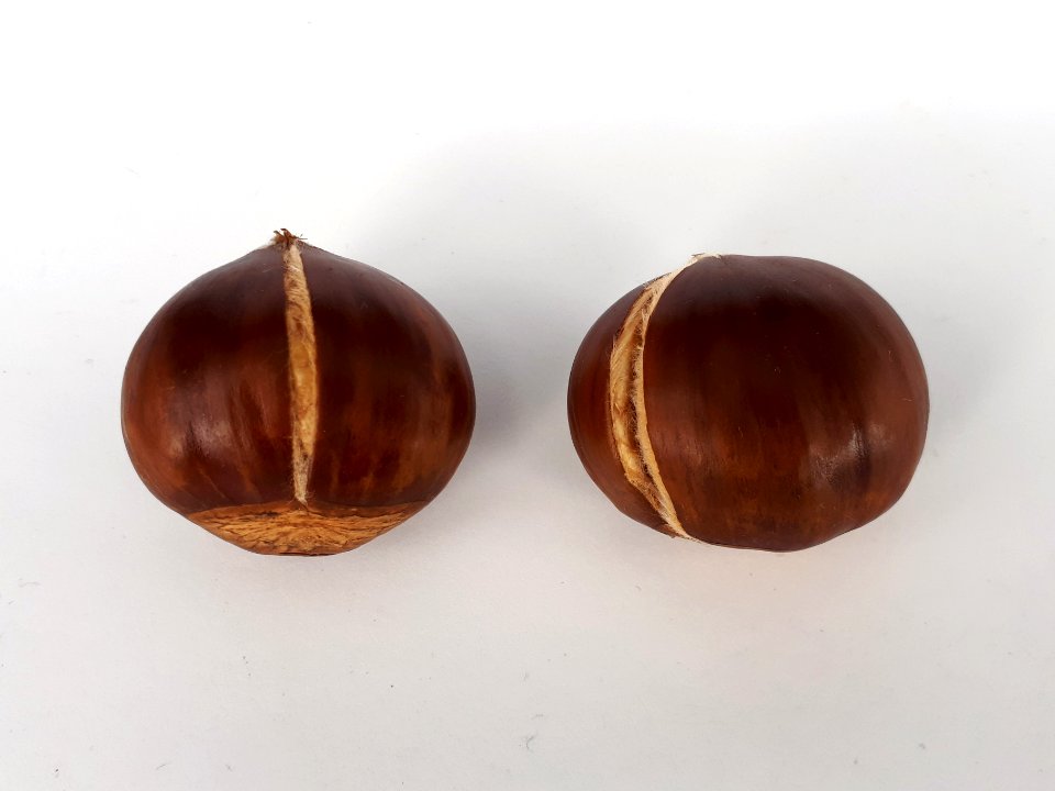 2_x_Cracked_chestnut_2017_A