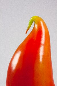 Sculpture pointed pepper orange photo