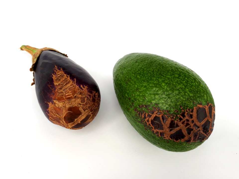 2_x_Fruit_scab_-_Avocado_-_Eggplant_-_2017_A