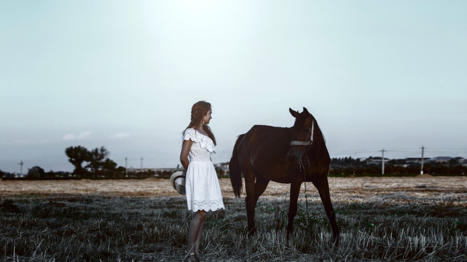 White dress brown