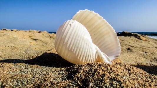 Sand summer nature