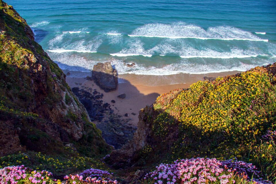 Cornwall south gland atlantic