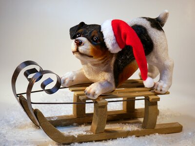 Christmas time merry christmas animal