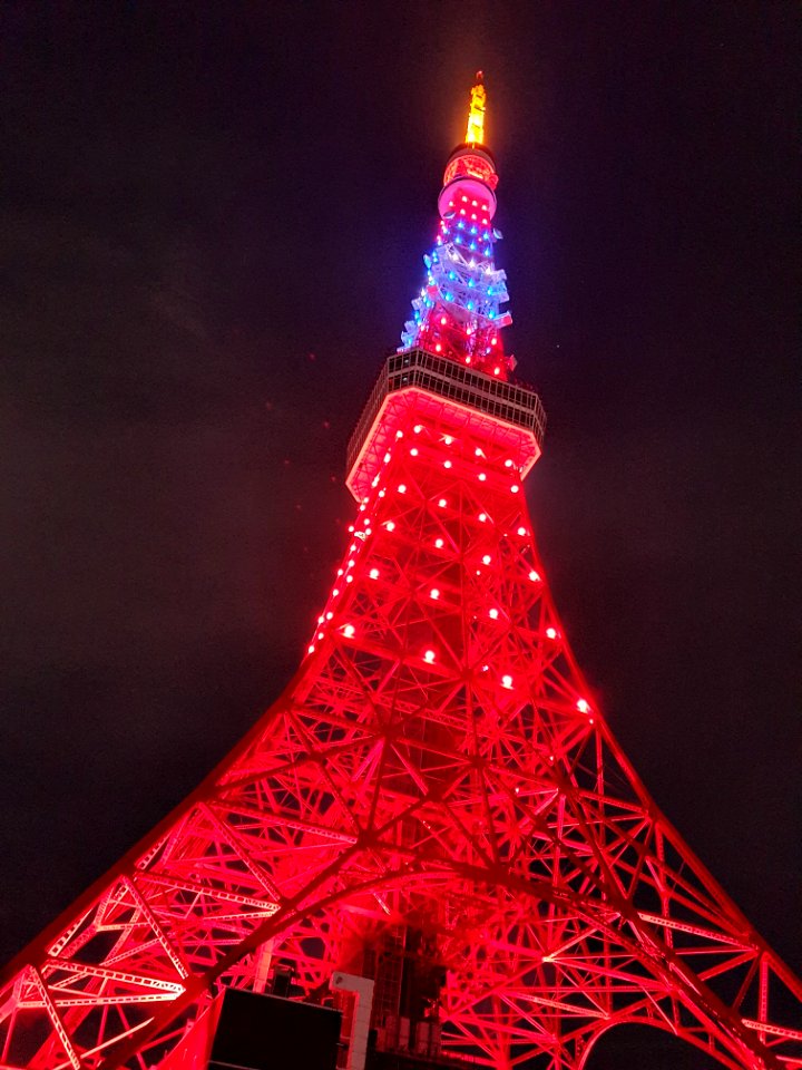 1月3日(日)は東京タワーを台湾色にライトアップ_10