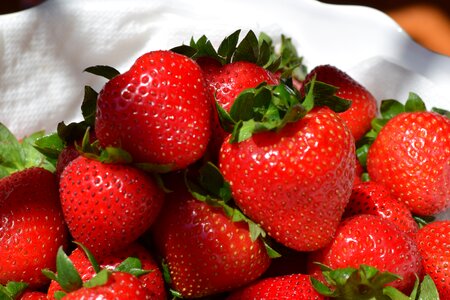 Food red healthy