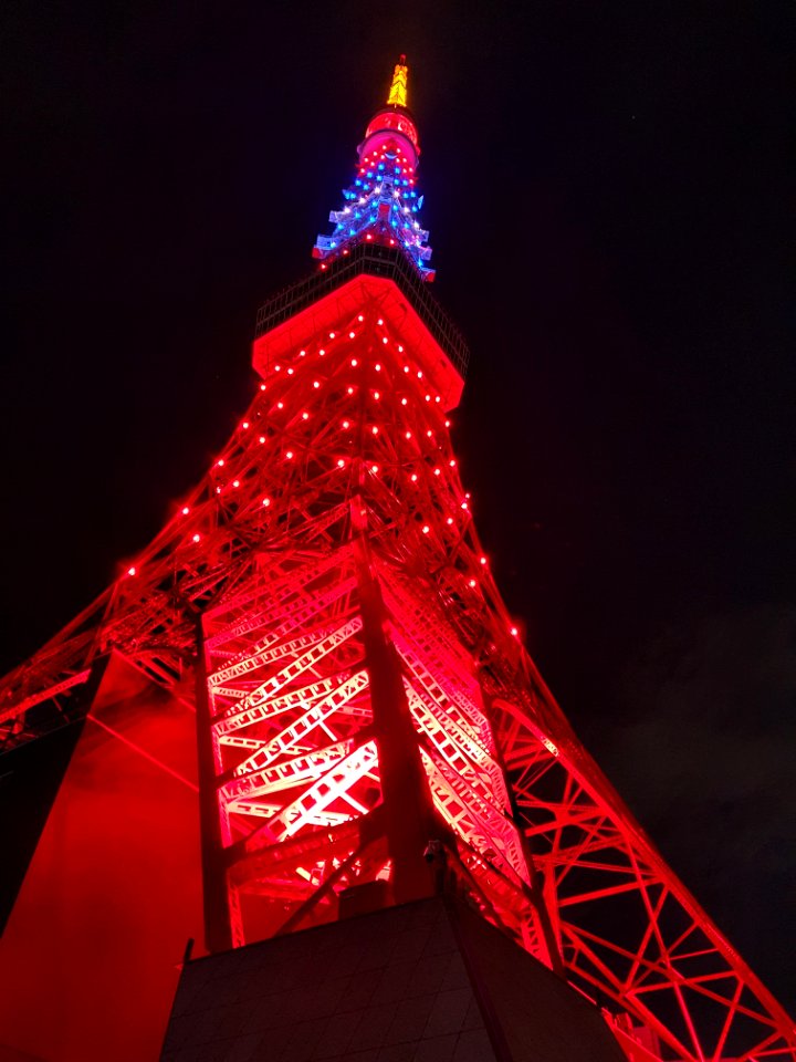 1月3日(日)は東京タワーを台湾色にライトアップ_8