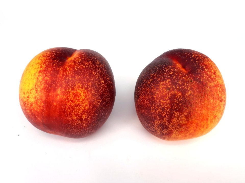2_x_Spotted_nectarine_2017_A